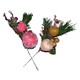 Premier Decorative Picks
