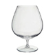 Dartington Brandy Glass - Wine Master (Pair)